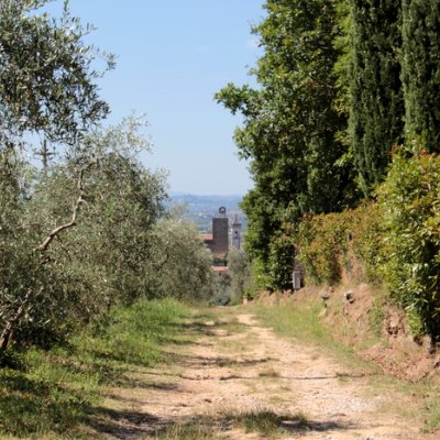 La “Strada Verde” di Vinci rinnovata per rivivere i luoghi di Leonardo La “Strada Verde” di Vinci rinnovata per rivivere i luoghi di Leonardo