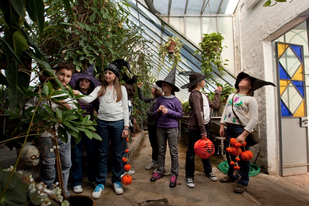 Children in the Botanical Gardens in Siena