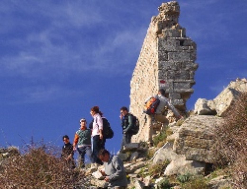 Granite in Elba Island Granite in Elba Island