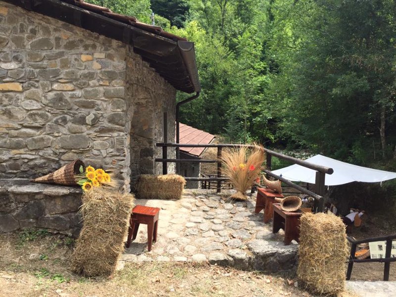 Mulino di Arlia