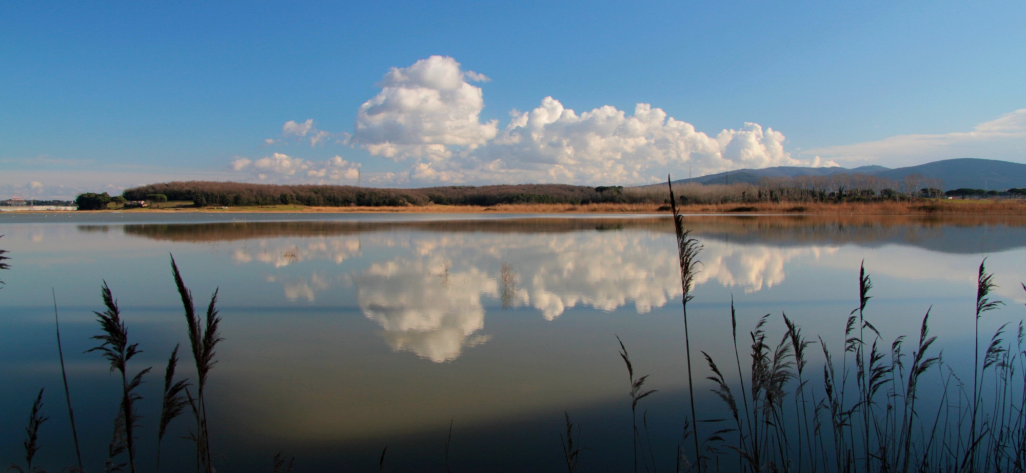 Riserva Naturale Oasi della Contessa