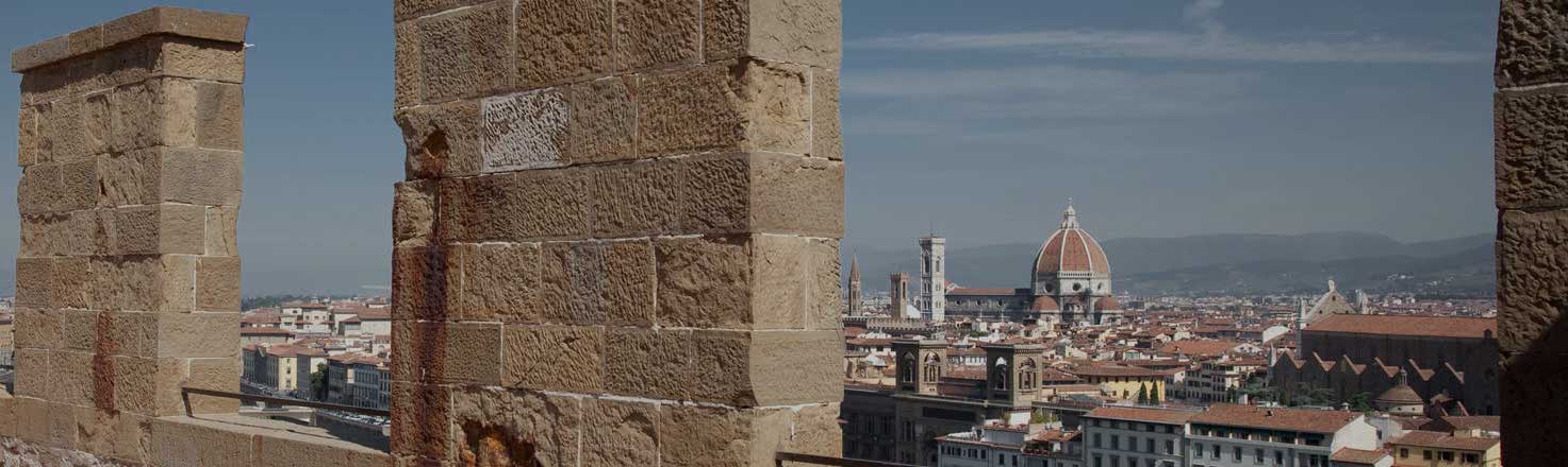 The view from San Niccolò Tower