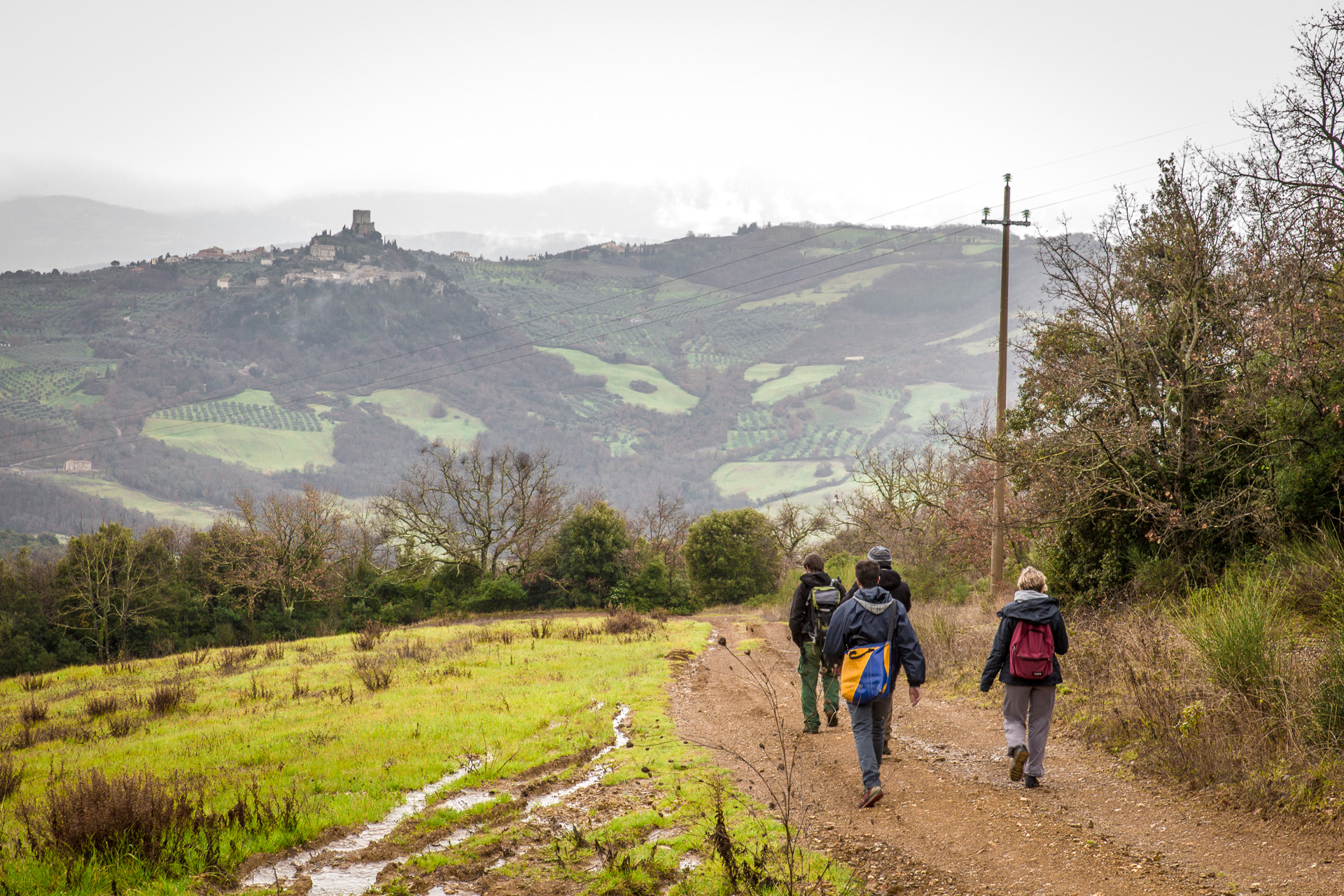 Along the Via Francigena between Vignoni Alto e Bagno Vignoni