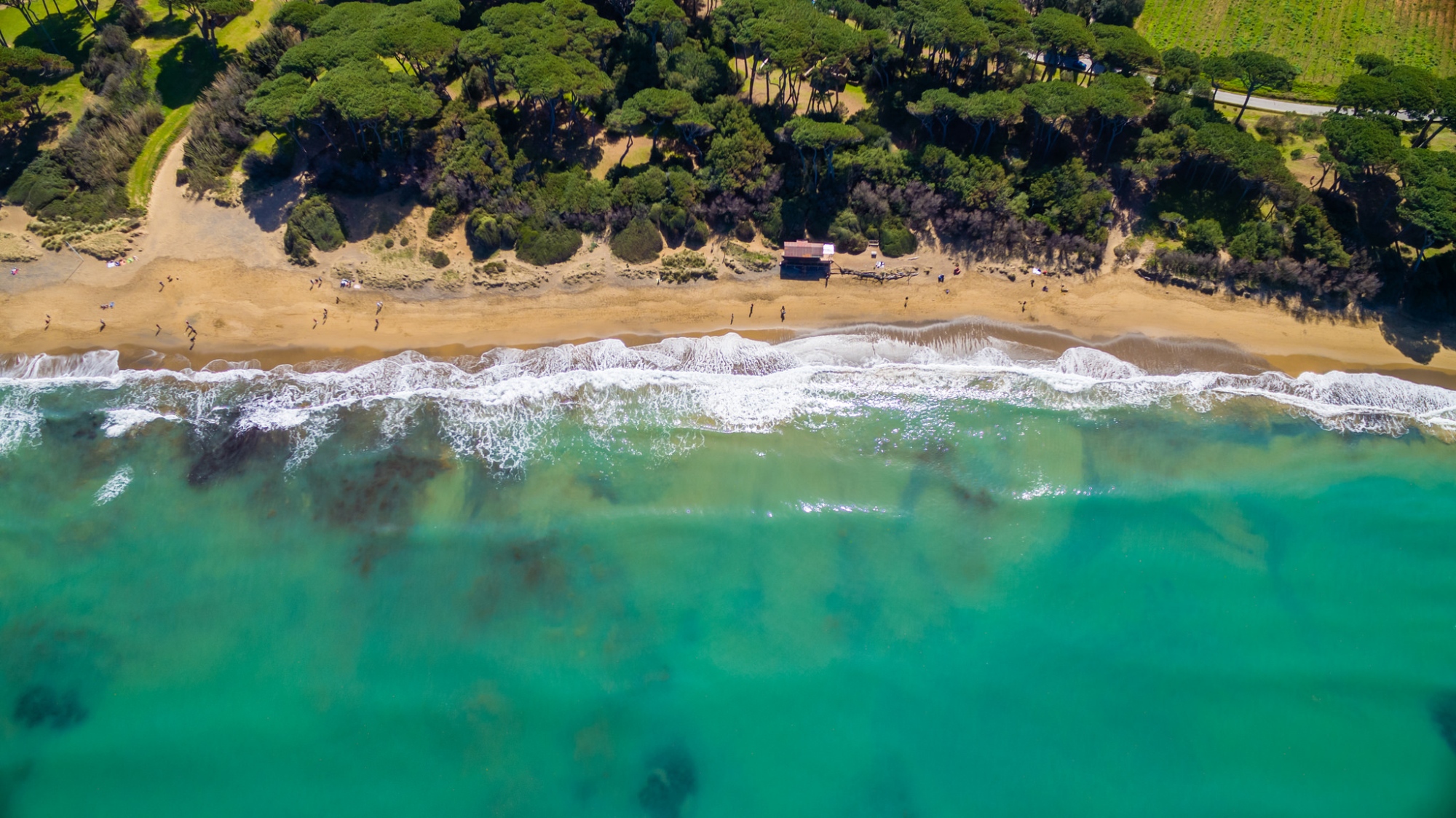 Vista de Baratti desde lo alto