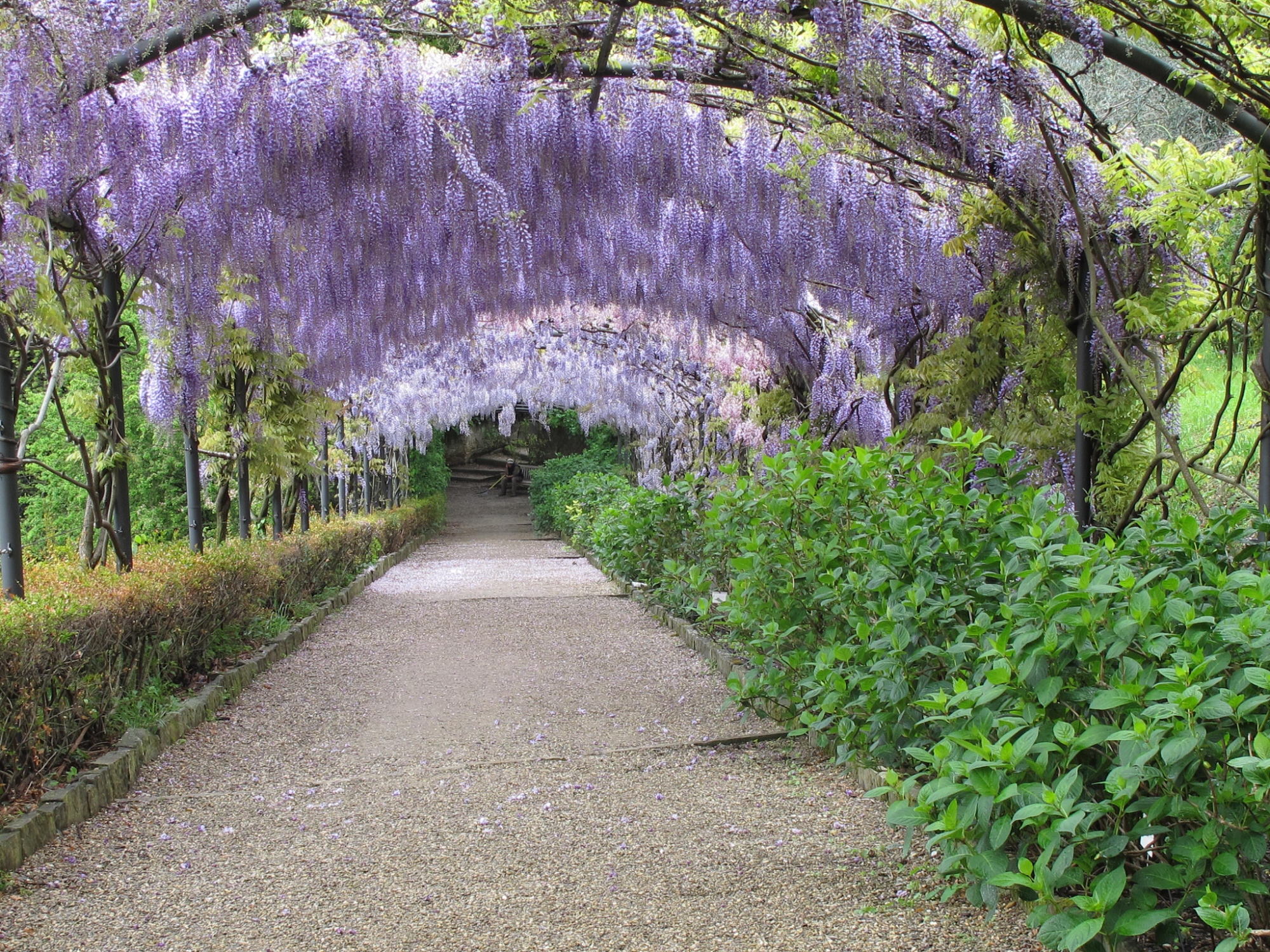 Bardini Garden