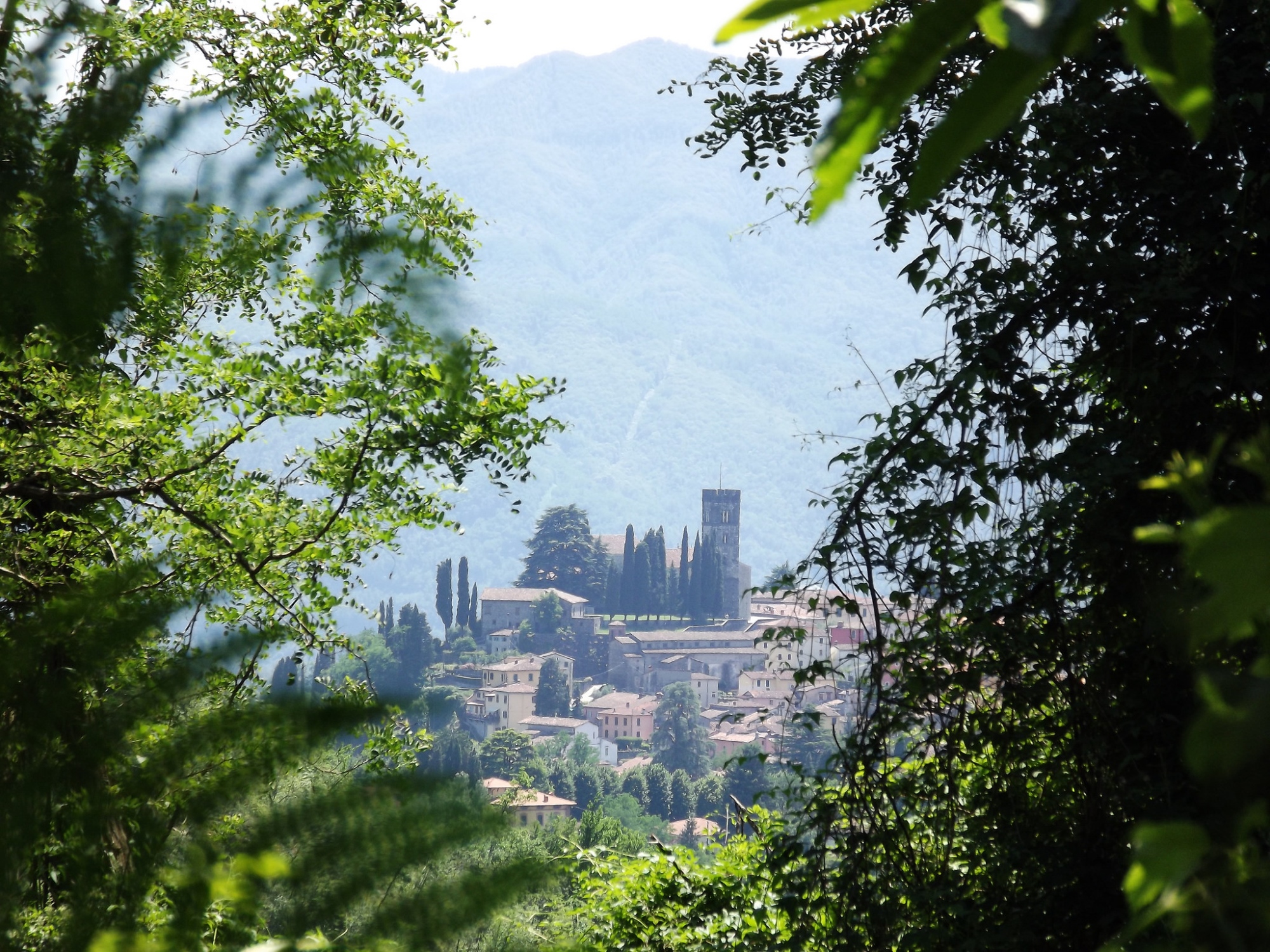 Dom San Cristoforo, Barga