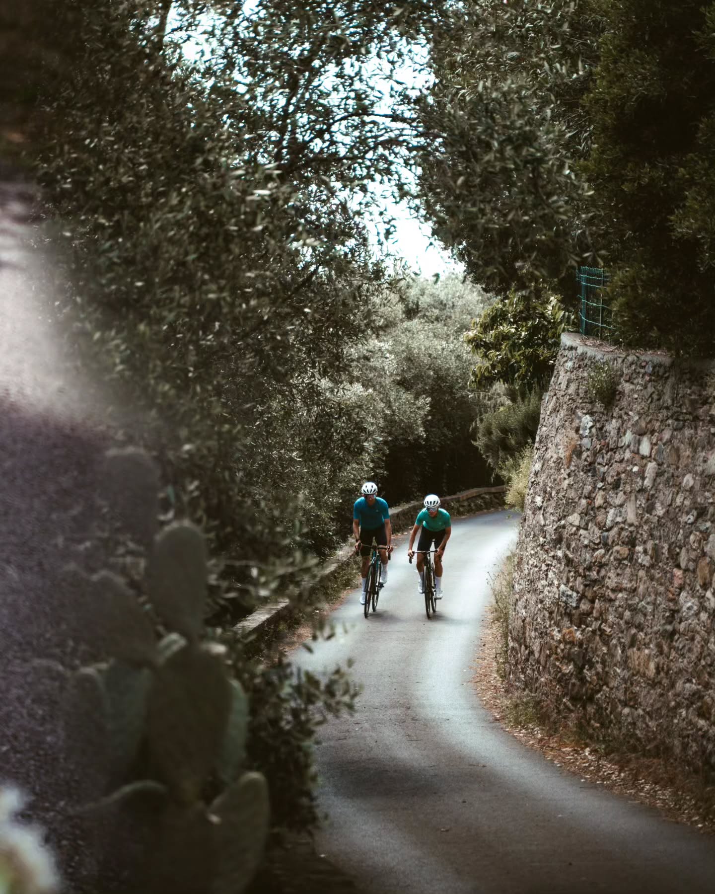 Biking in Tuscany