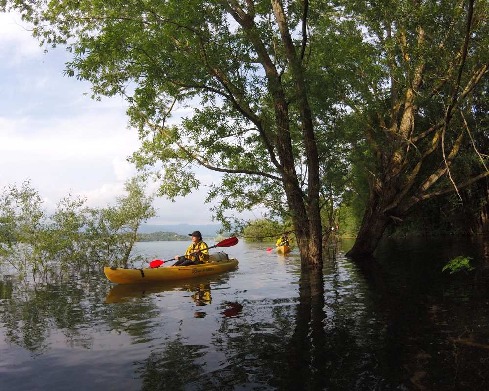Kayak et SUP sur le lac de Bilancino