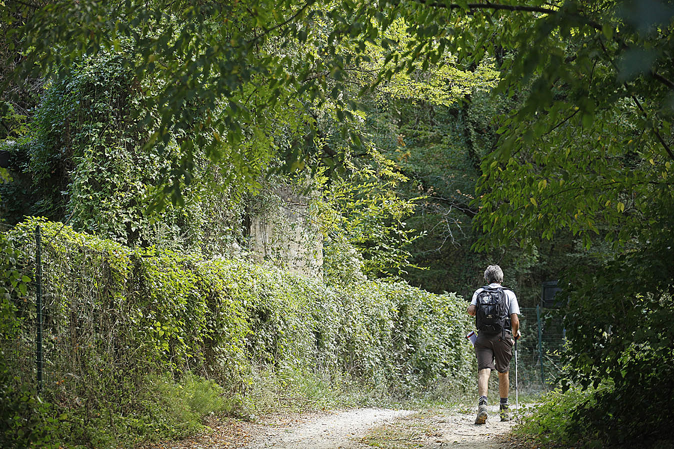 La Via Francigena in Toscana