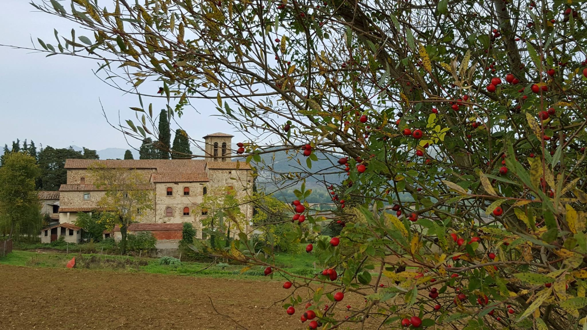 Santa Maria Church In Micciano Visit Tuscany Santa Maria Church In Micciano Visit Tuscany