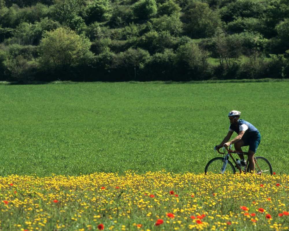 In bicicletta nella Val di Merse In bicicletta nella Val di Merse