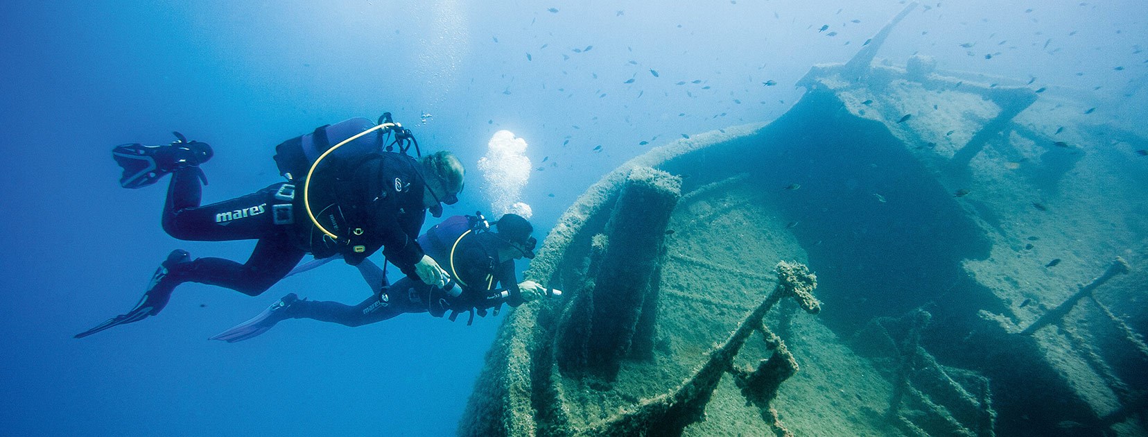 Immersioni subacquee nel mare dell'isola d'Elba