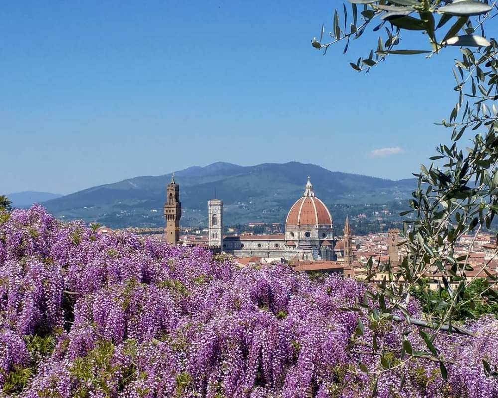 View of the Florence Cathedral from the Bardini Gardens