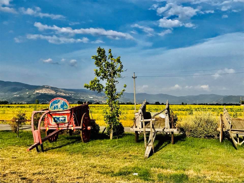 Museo della civiltà contadina di Fratticciola (Cortona)