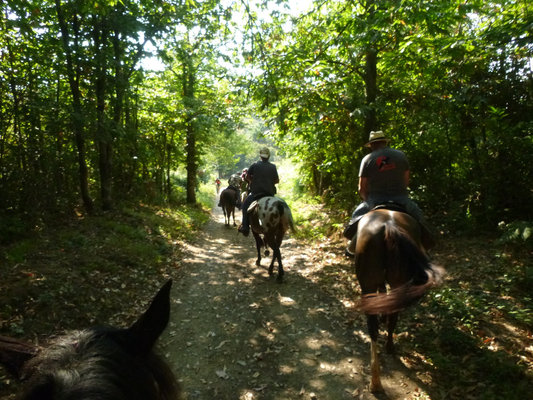 A cavallo per scoprire il territorio di Prato
