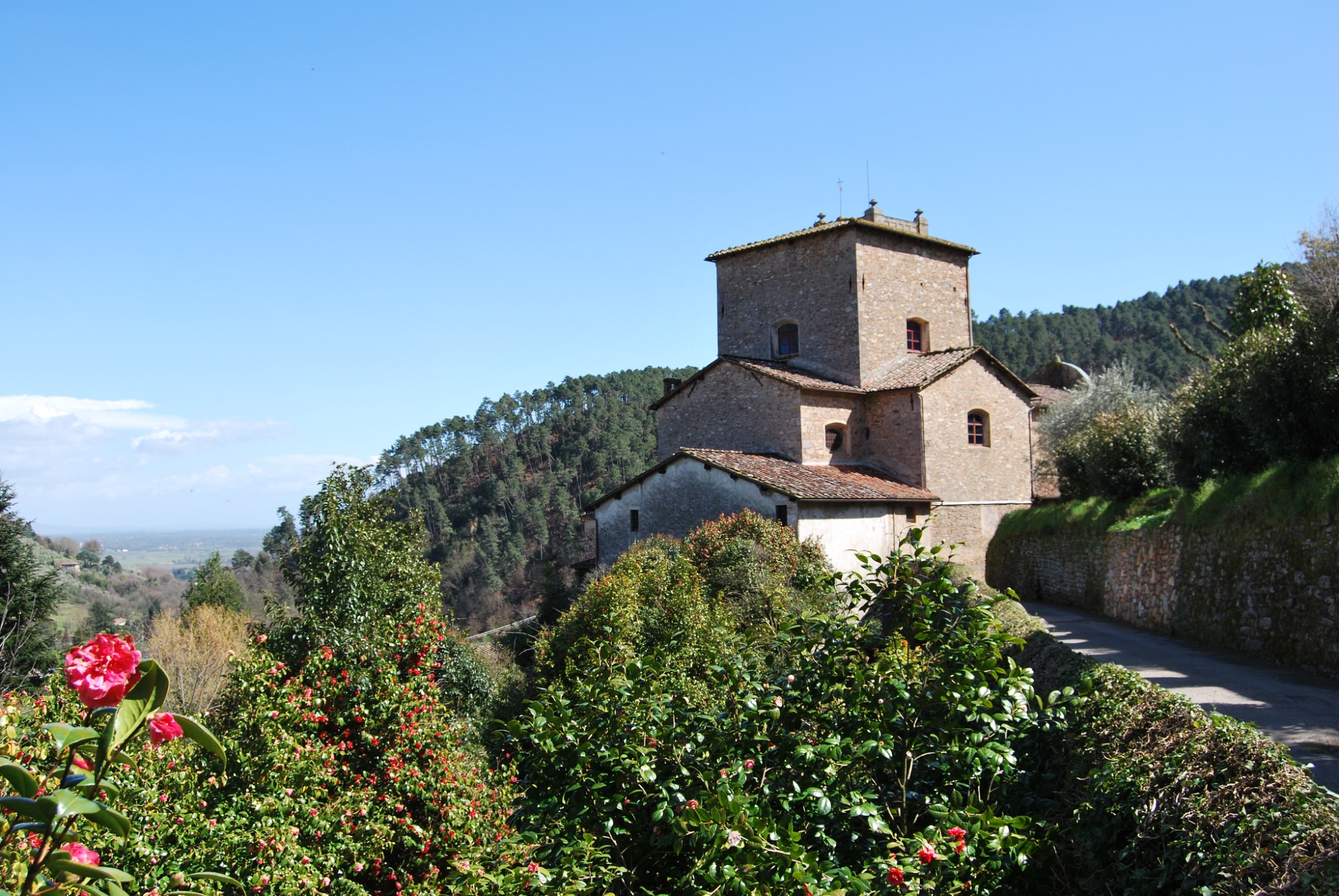 Flowers in San Gimignano