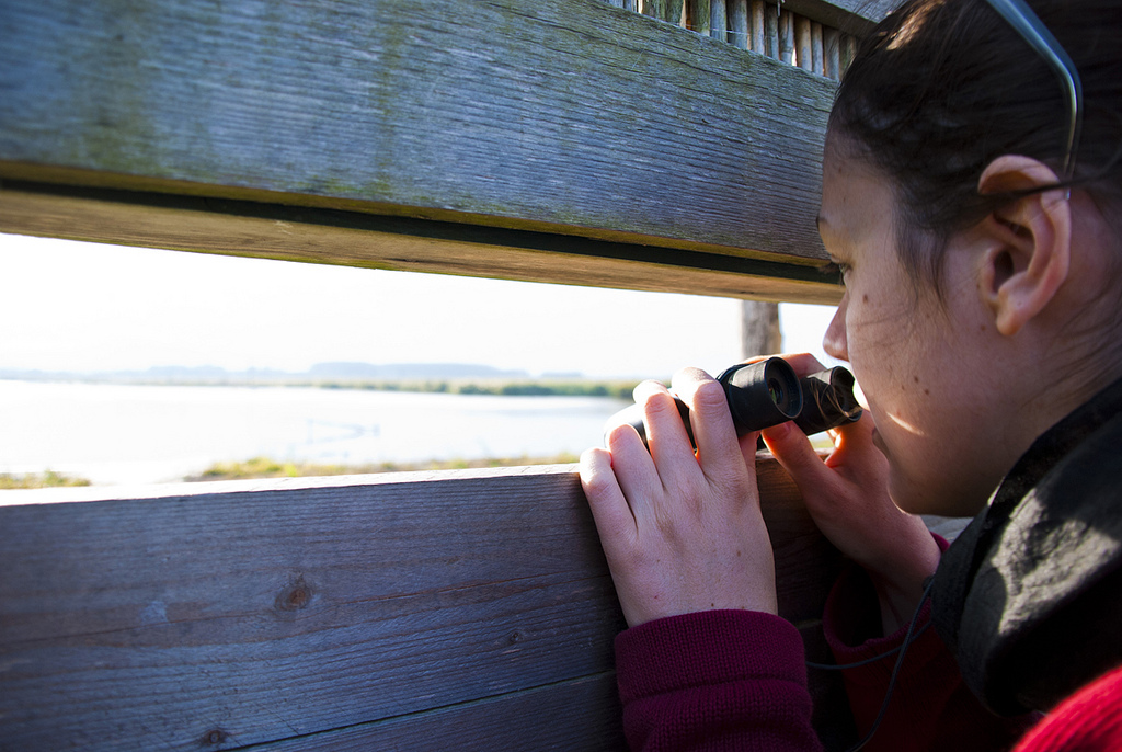 Birdwatching sull'Isola di Capraia [Photo Credits: sara | b. in Flickr]
