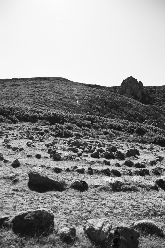 I sentieri antichi dell'isola [Photo Credits: Elparison in Flickr]