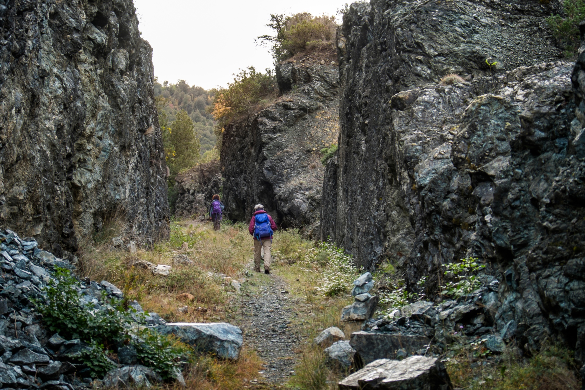Montecatini, Riserva Naturale di Monterufoli