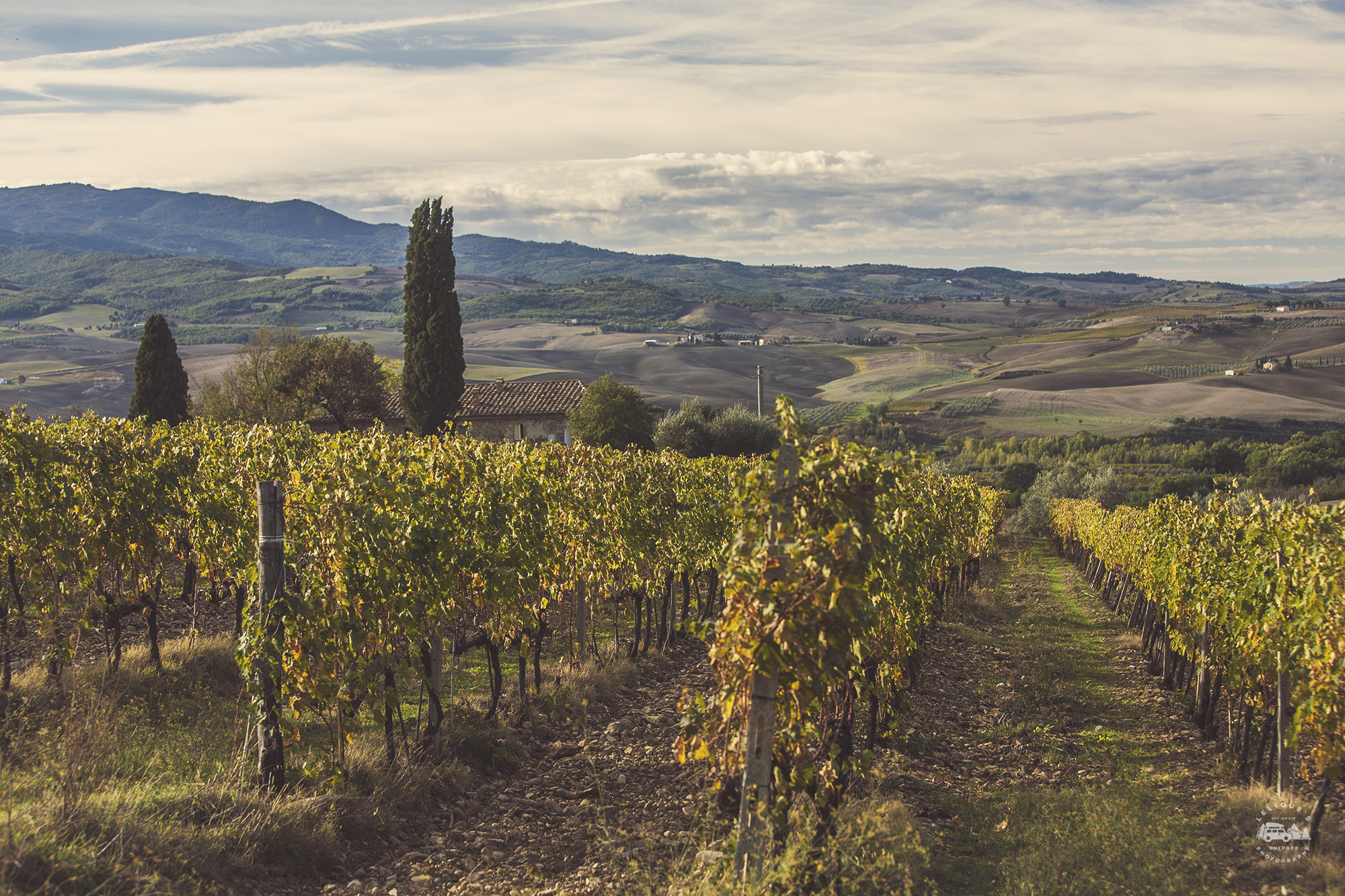 Brunello-Reben, Montalcino