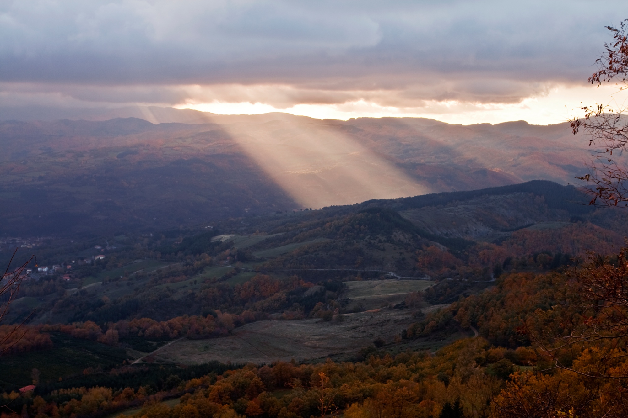 Fonte-Vallolmo-Casentino-foreste