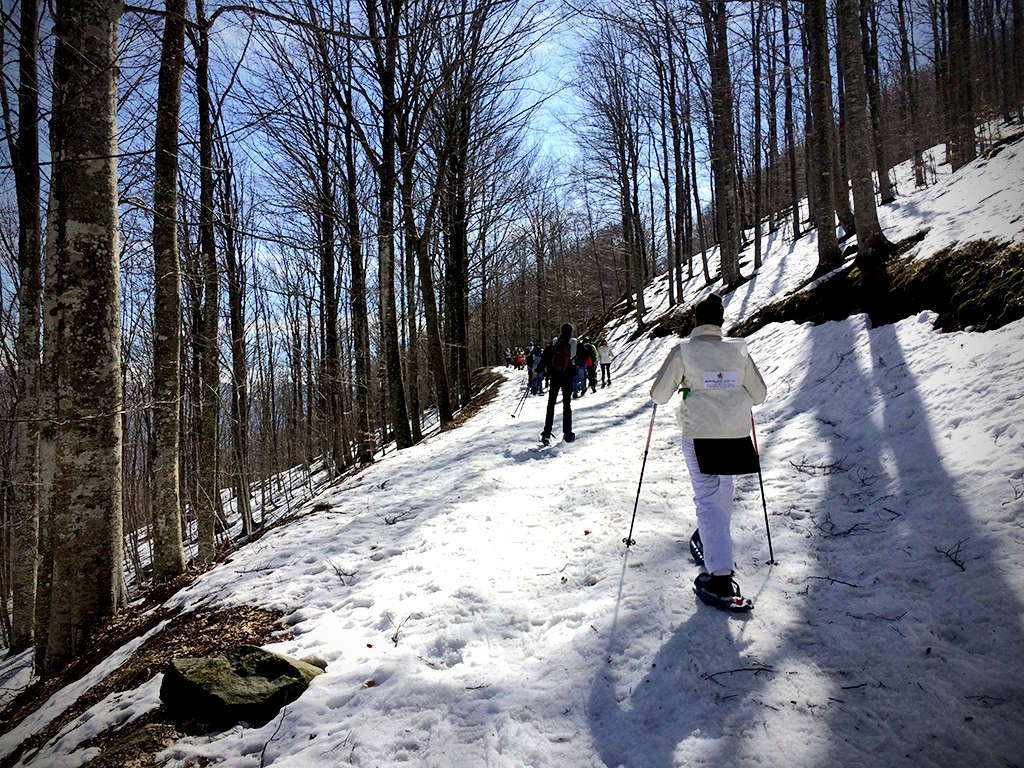 Snowshoeing