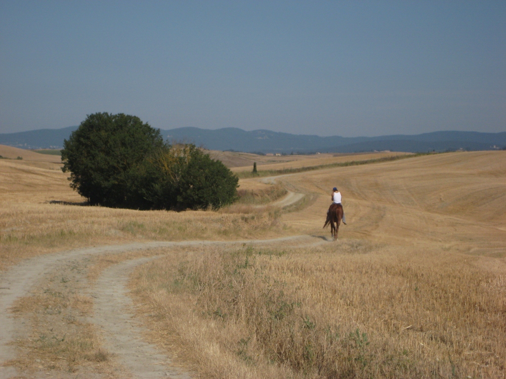 La Via Francigena dans la Val d'Arbia