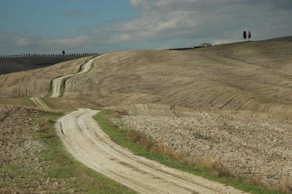 Crossing the Via Francigena in Val D'Orcia