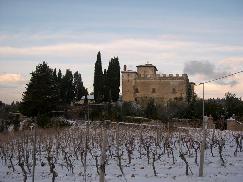 Panereta Castle