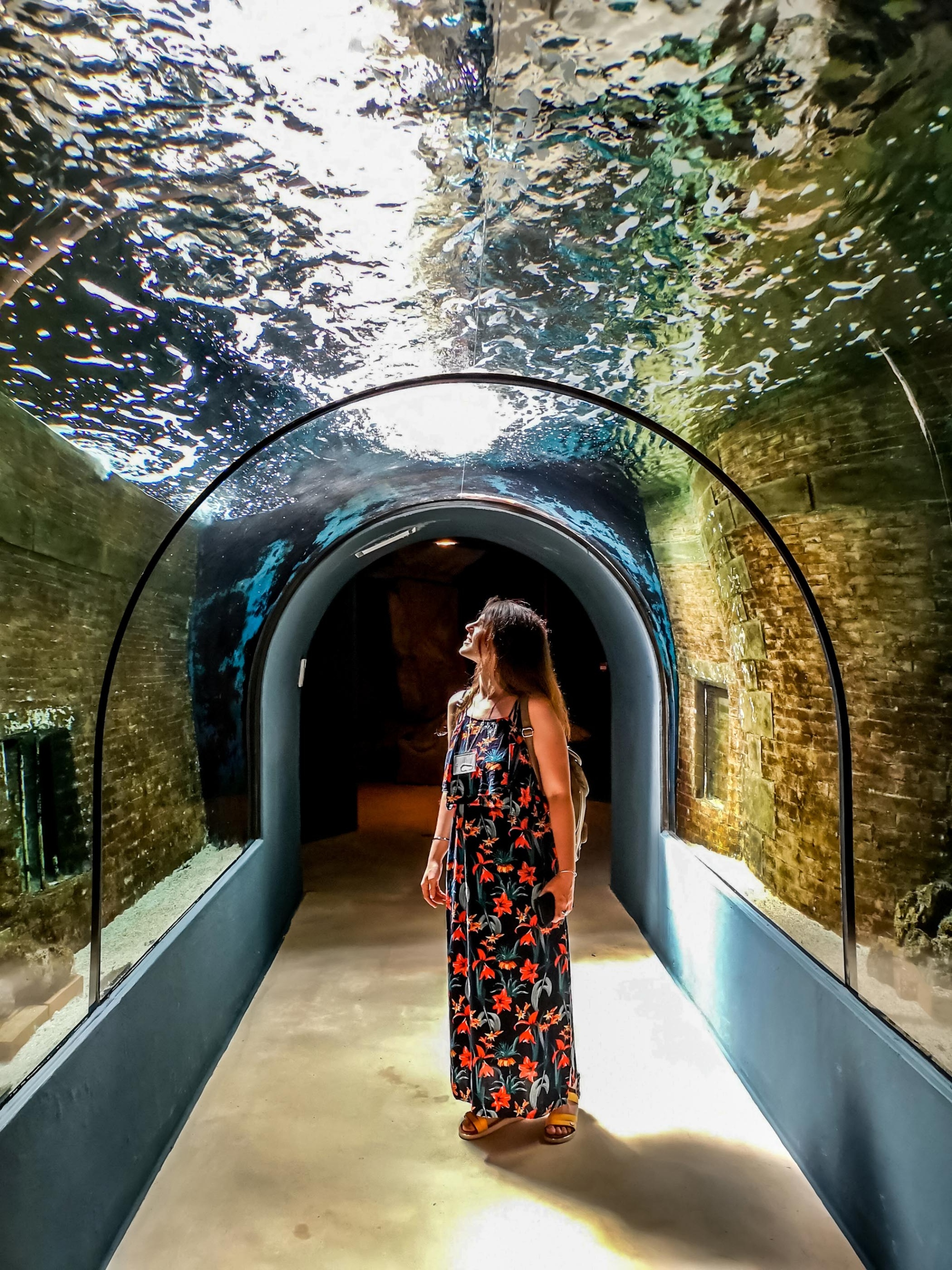 La grande vasca dell'Acquario di Livorno