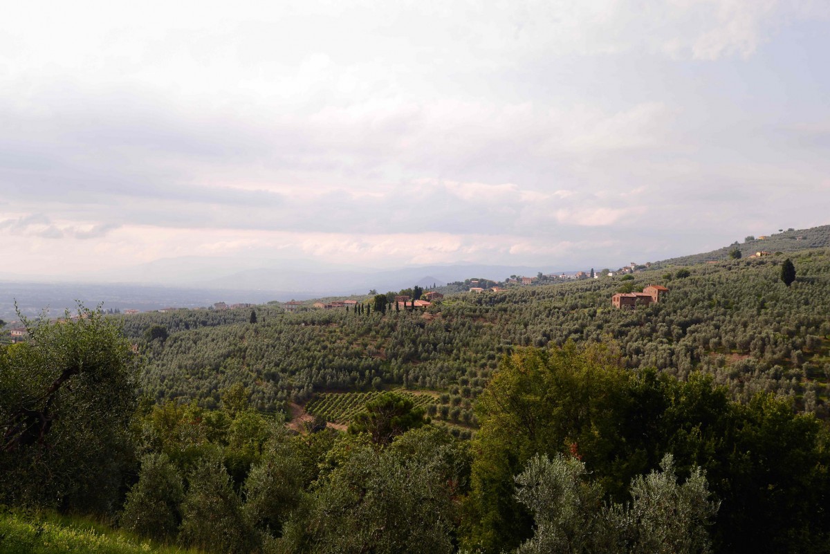 Anchiano landscape
