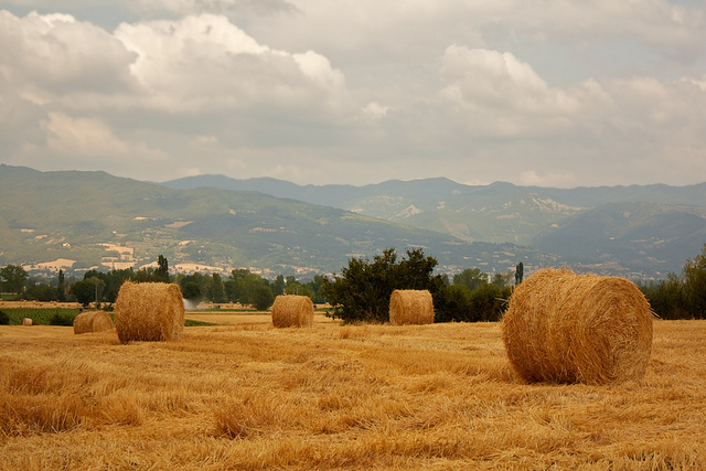 Anghiari [Photo Credits: Natalia Romay http://ow.ly/gESBh]