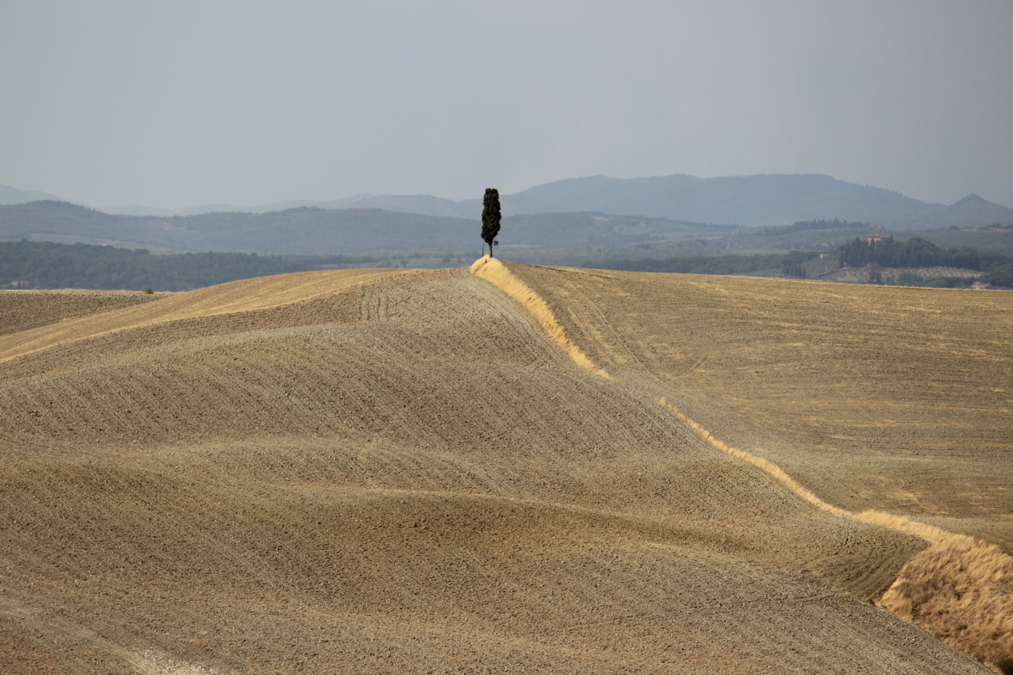 Crete Senesi, Asciano