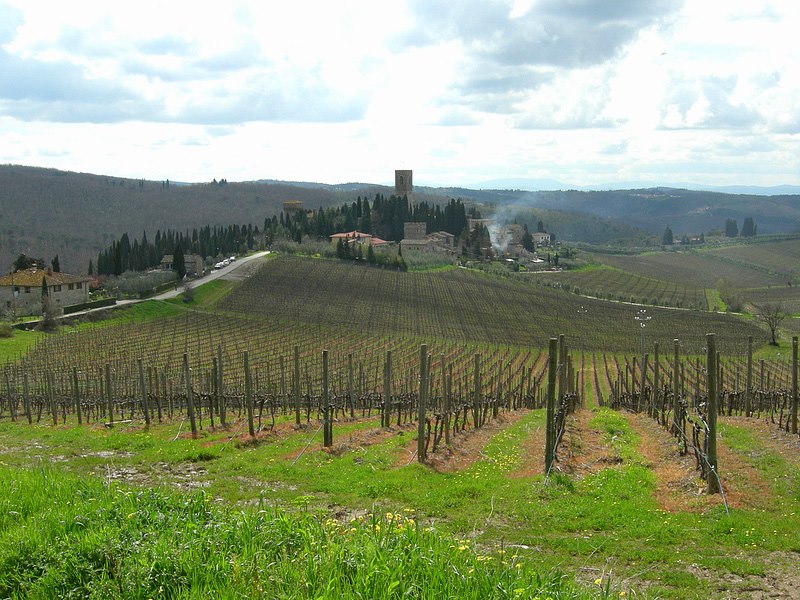 Antinori vineyards in Badia a Passignano [Photo credits: Link Travel and More]