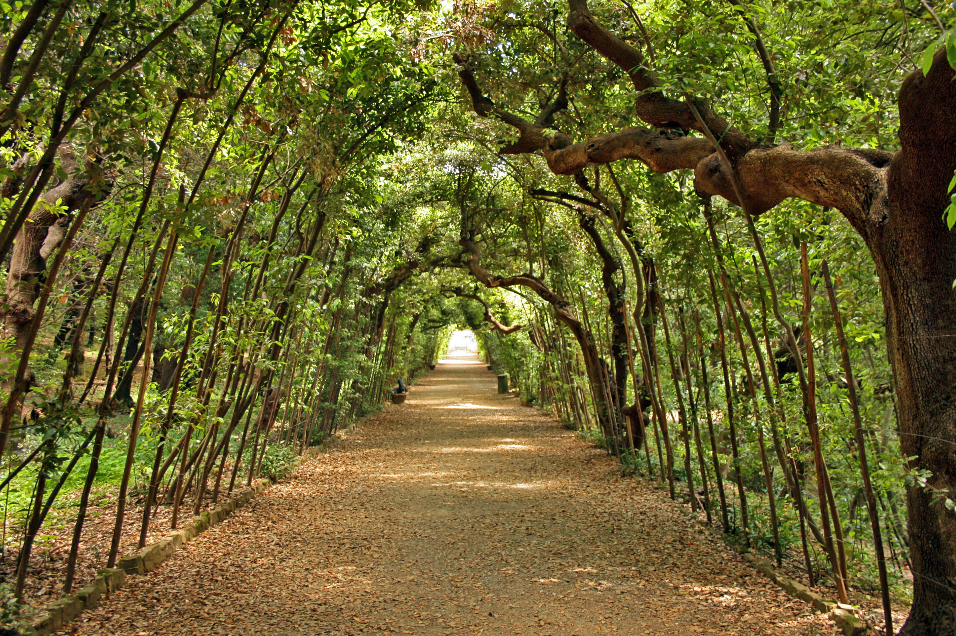 Boboli Gardens