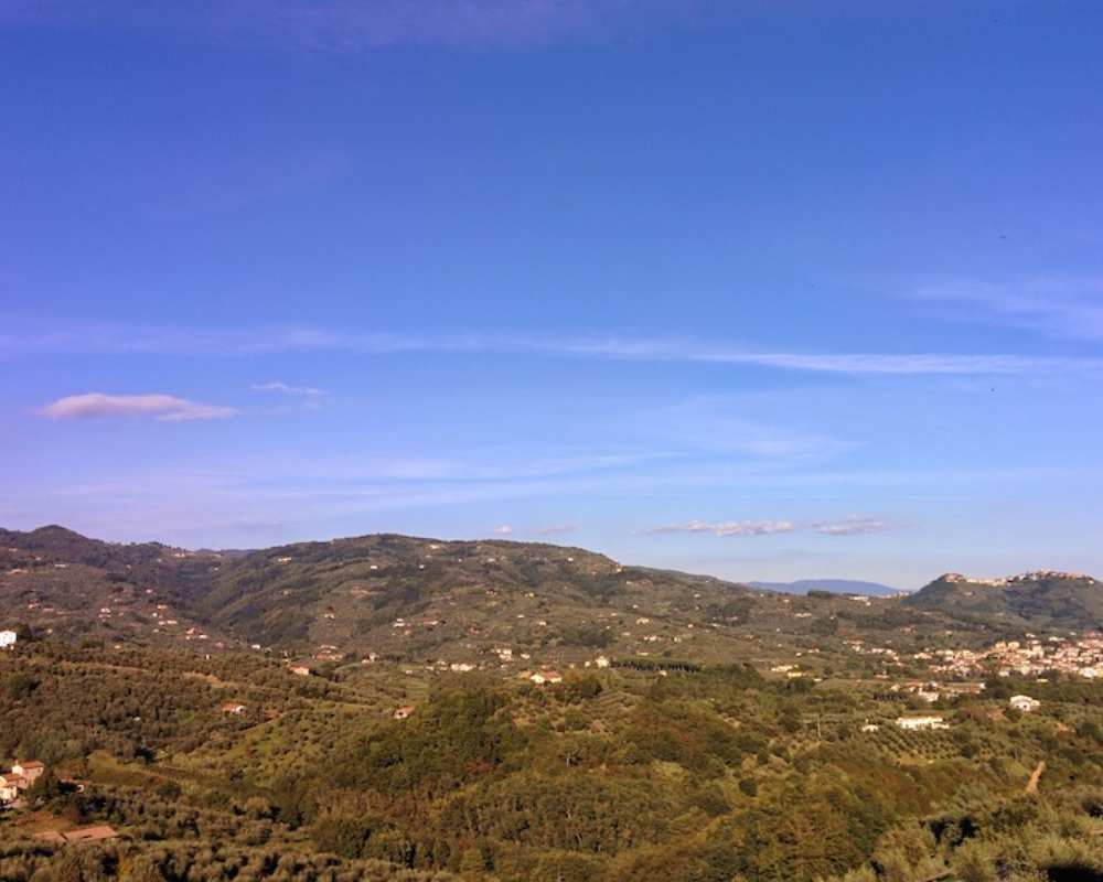 View of Buggiano Castello