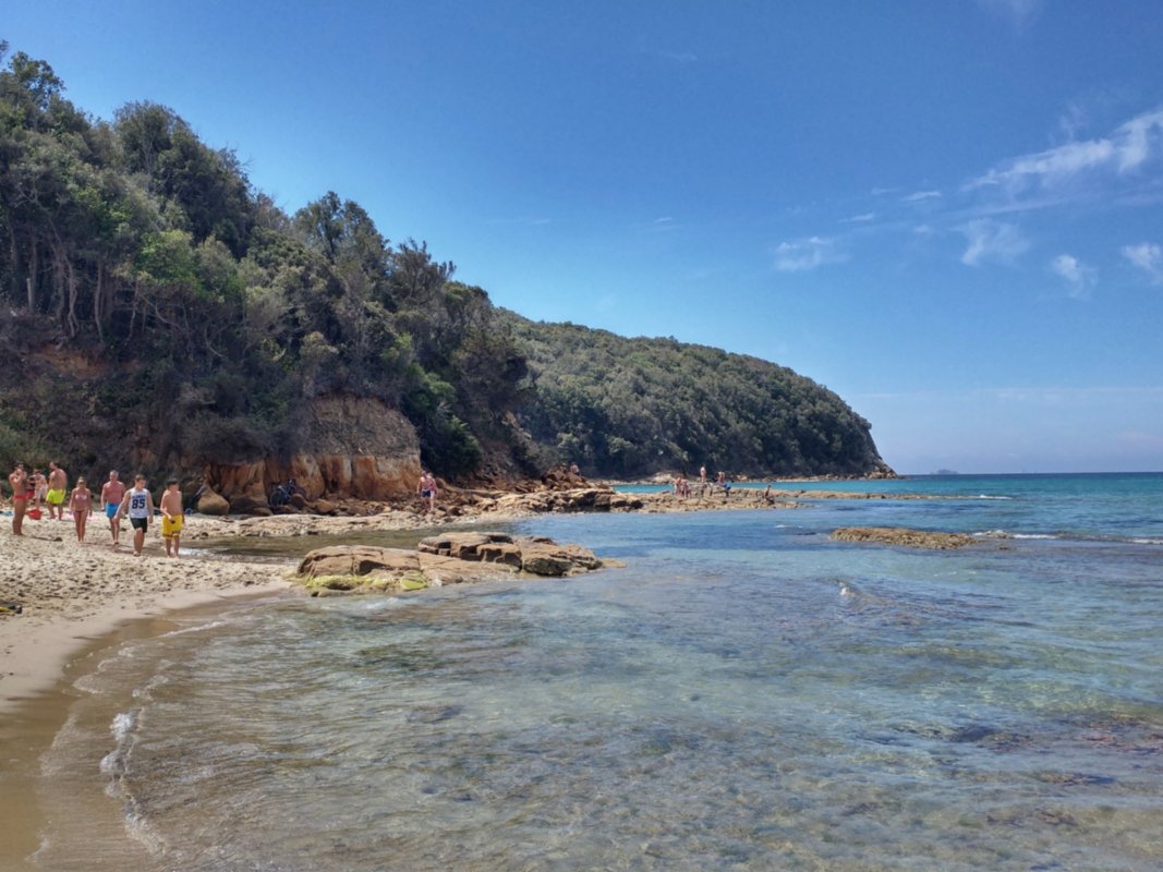 Cala Violina a summer paradise on the Tuscan coast Cala Violina
