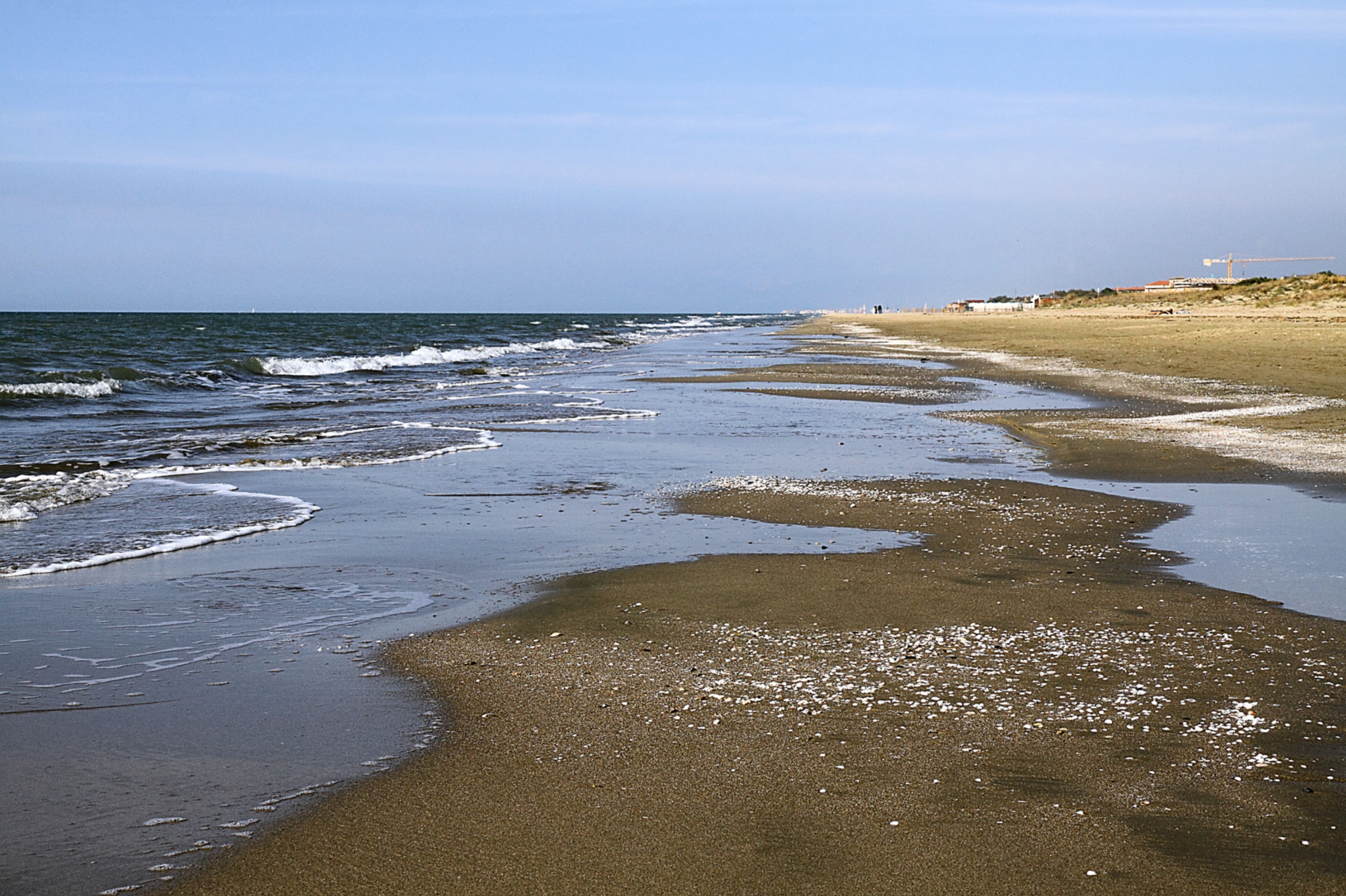 Calambrone beach