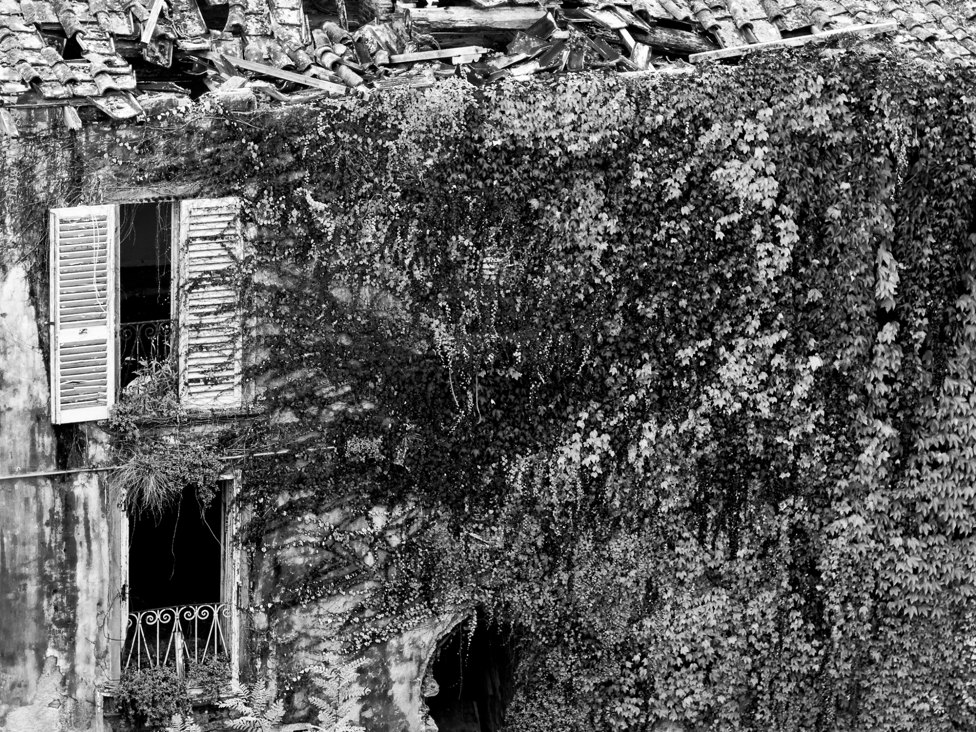 Dettagli di Castelnuovo dei Sabbioni