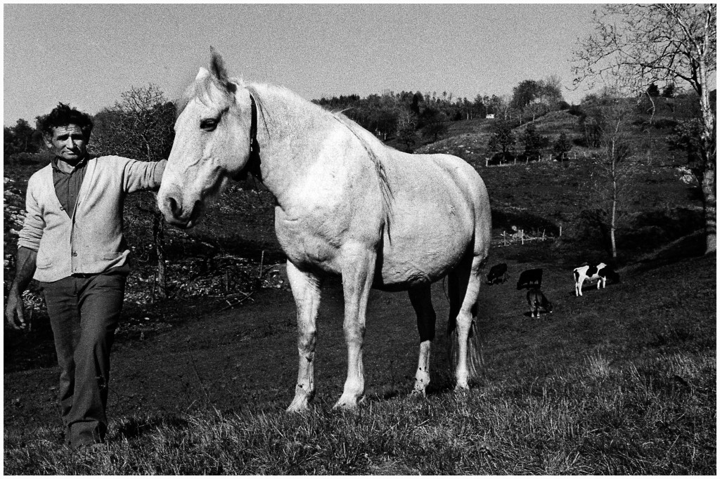 White horse in Careggine