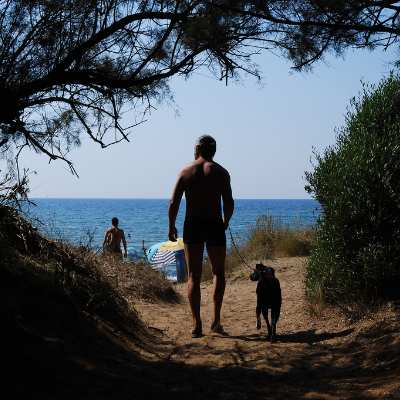 On the beach with your dog On the beach with your dog