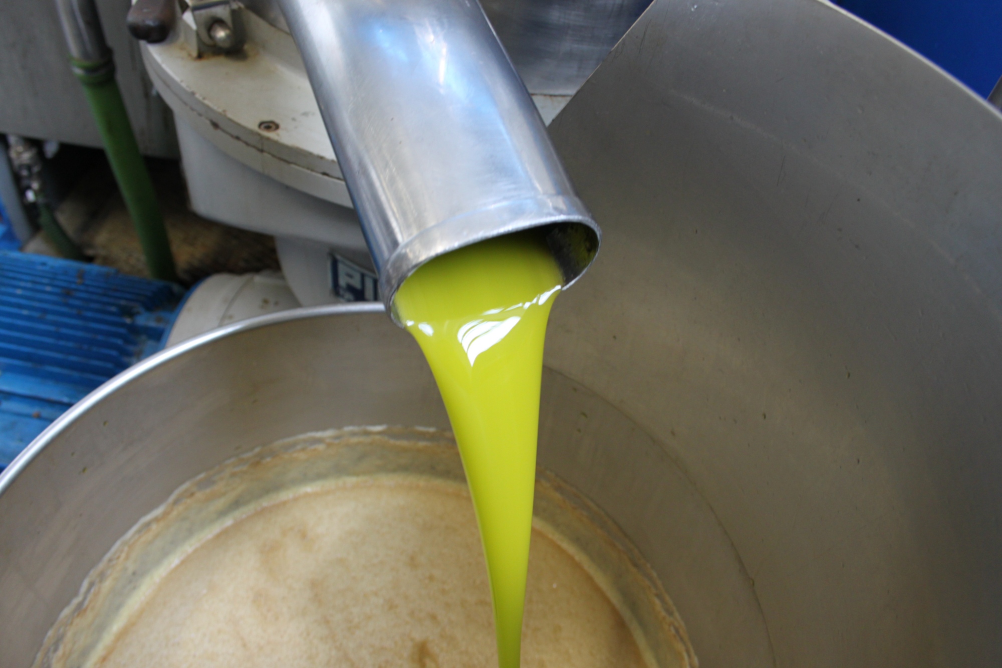 Fresh extra virgin olive oil