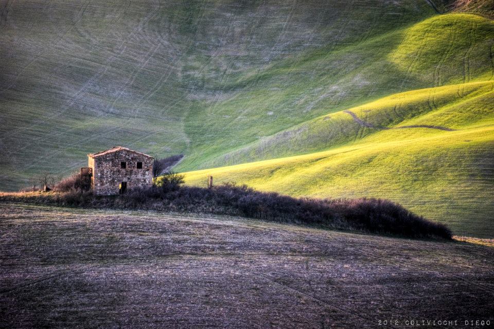 Cuntryside around Corbano, Volterra