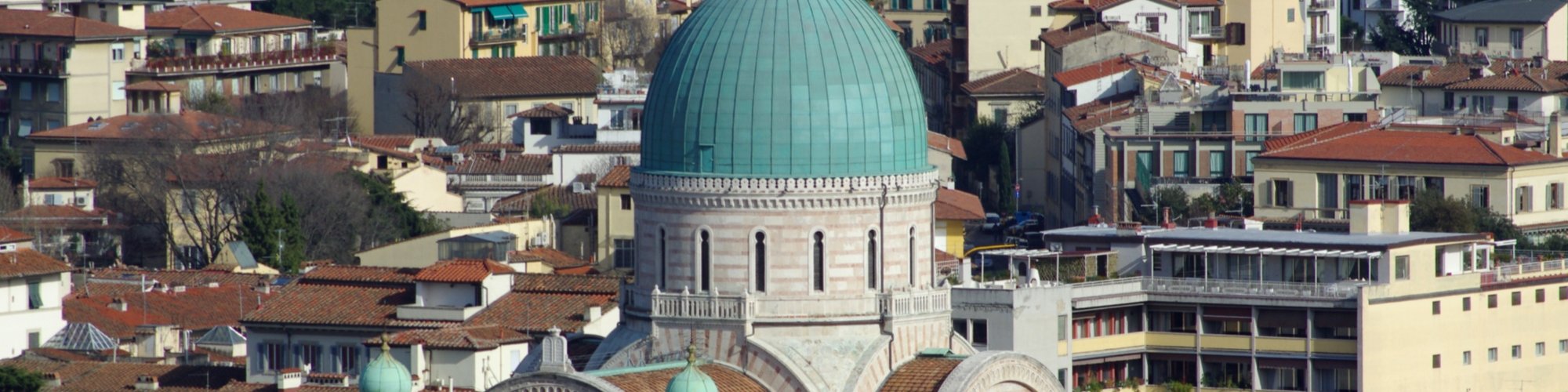 Synagogue of Florence from above