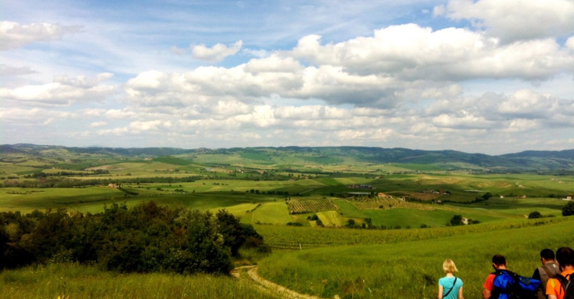 via-francigena-terre-siena