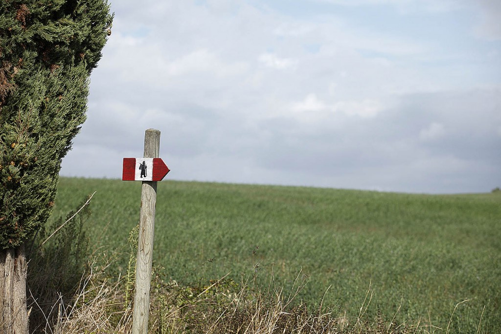 Along the Francigena