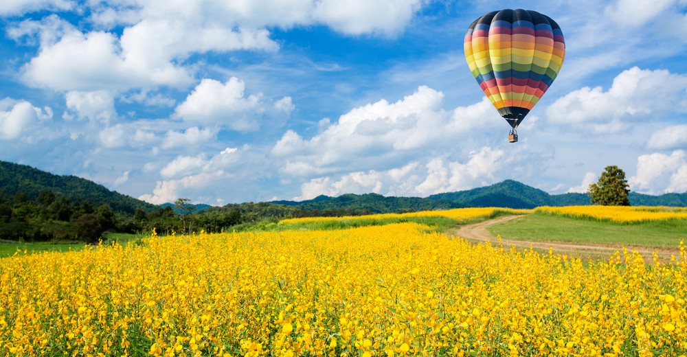 Hot air balloon