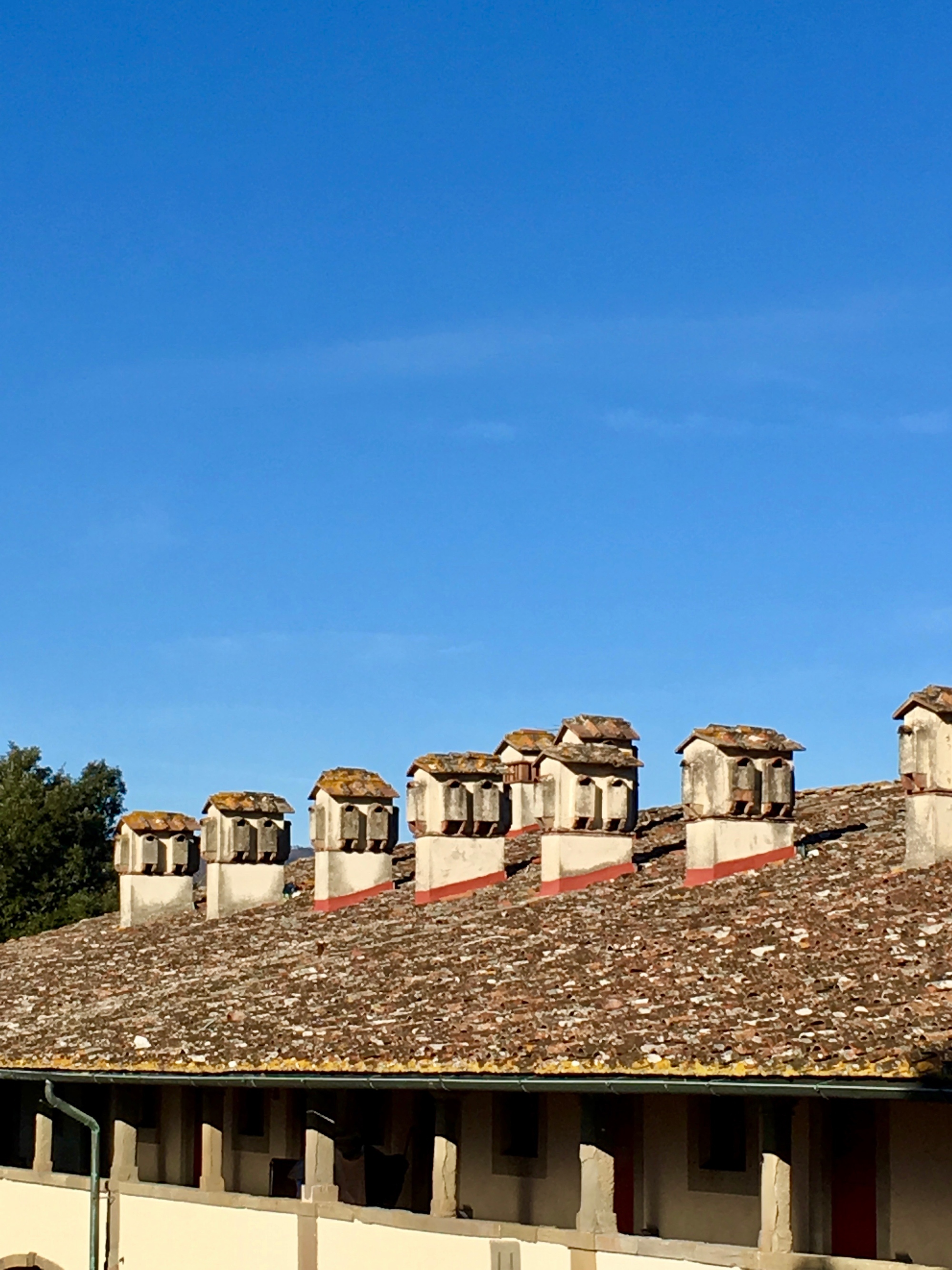 I caratteristici camini della Villa La Ferdinanda di Artimino