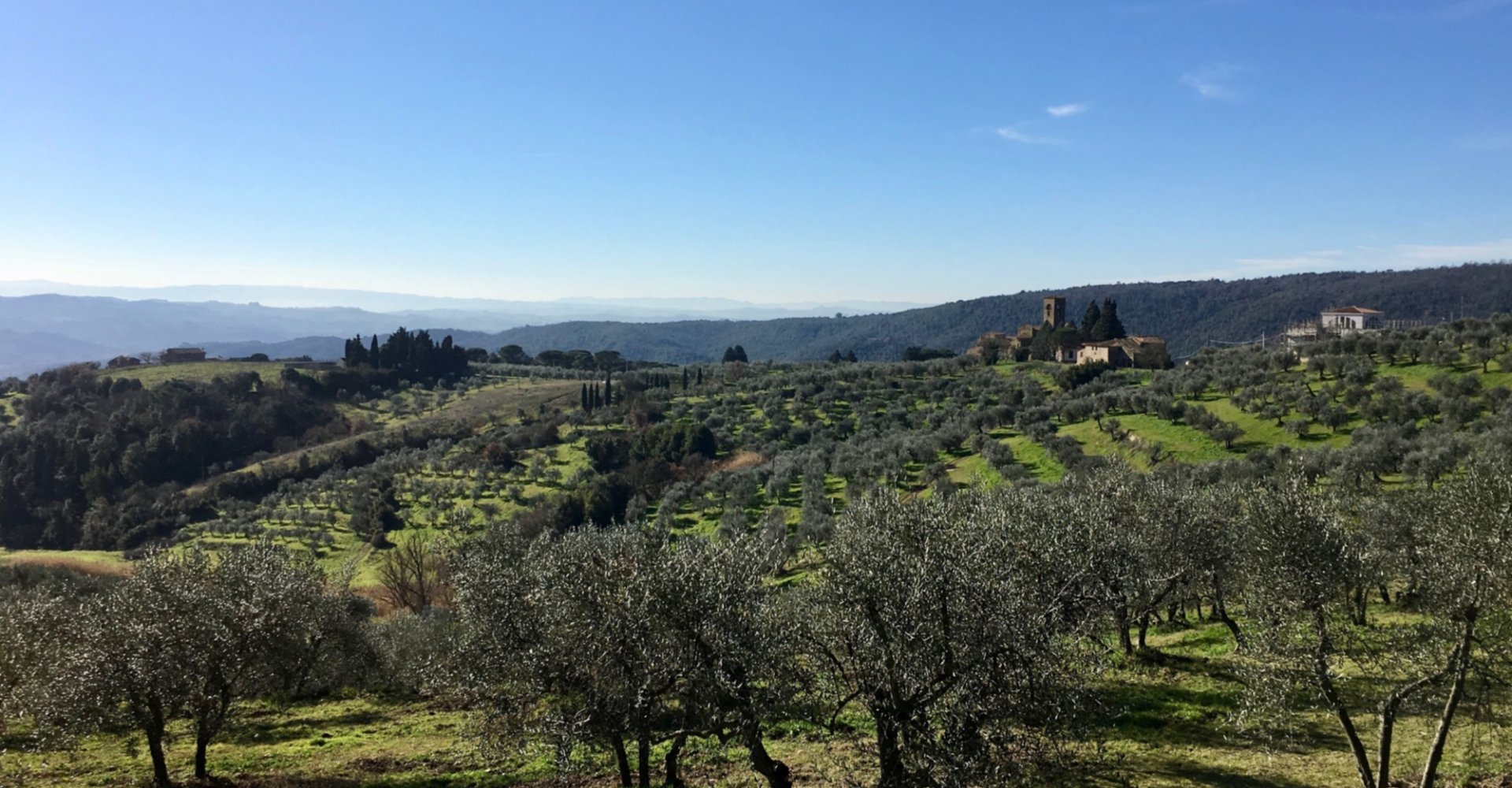 La campagna di Artimino e la Pieve San Leonardo