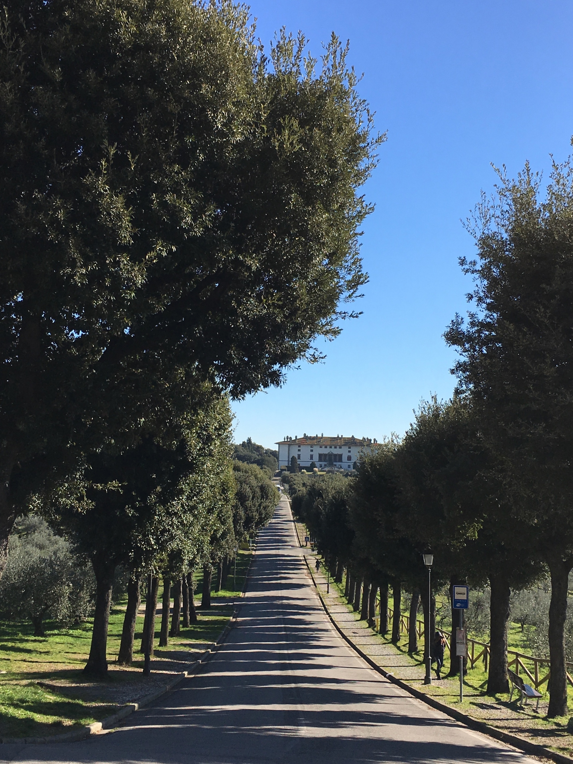 Artimino, il viale alberato e la Villa Medicea